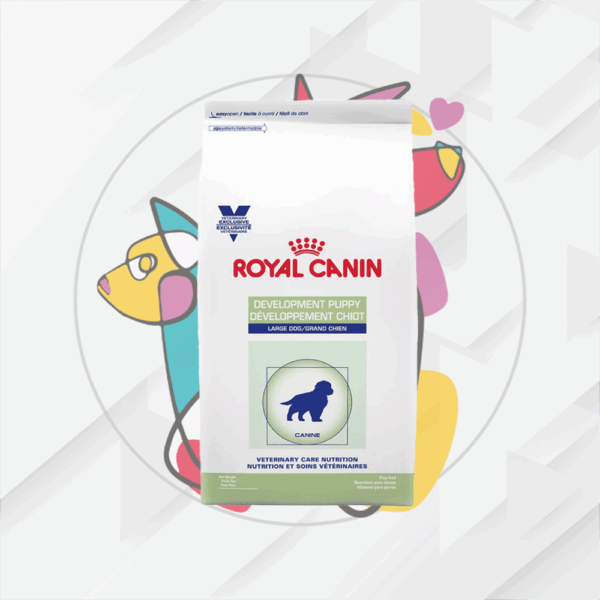 Develop Puppy Large    4Kg