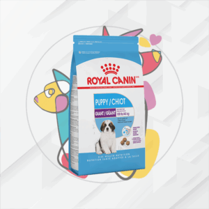 Giant Puppy     13.6Kg