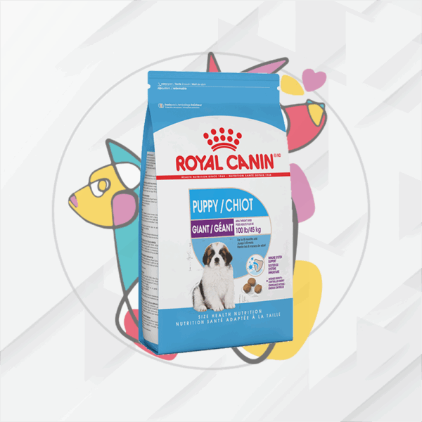 Giant Puppy     13.6Kg