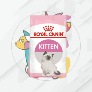 Kitten      3.18Kg