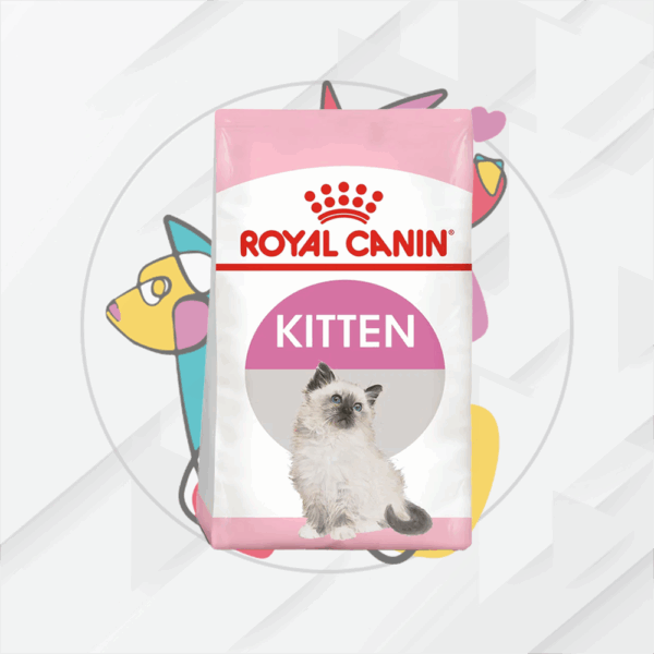 Kitten      3.18Kg