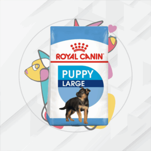 Large Puppy     13.6Kg