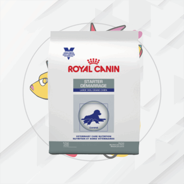 Starter Large Dog    12Kg