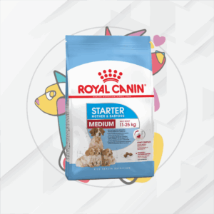 Starter Medium     13Kg