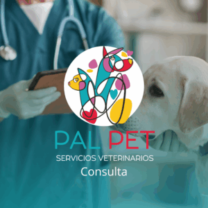 Consulta PalPet